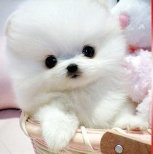 孕期做梦梦到老公出轨怎么回事,怀孕梦见出轨是男孩吗