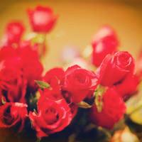 对于异地恋分手，难道真的没有挽回技巧了吗？-泡学网-喜悦人生,挽回婚姻,分手挽回,经验婚姻,情感挽回,情感咨询,分离小三,泡学书籍