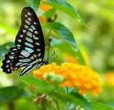 婚姻破裂怎么挽回对方 聪明女人轻松挽回