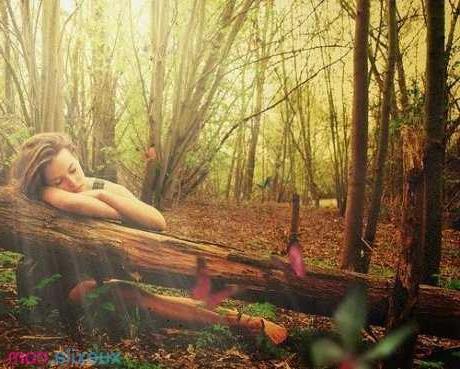 升魅情感婚姻挽回效果靠谱吗？升魅情感婚姻挽回如何？(个人情感的概念是什么)-泡学网-喜悦人生,挽回婚姻,分手挽回,经验婚姻,情感挽回,情感咨询,分离小三,泡学书籍