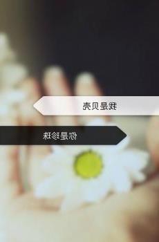 同性恋分手了如何挽回?