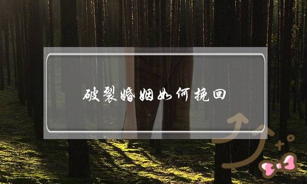 破裂婚姻如何挽回-泡学网-喜悦人生,挽回婚姻,分手挽回,经验婚姻,情感挽回,情感咨询,分离小三,泡学书籍