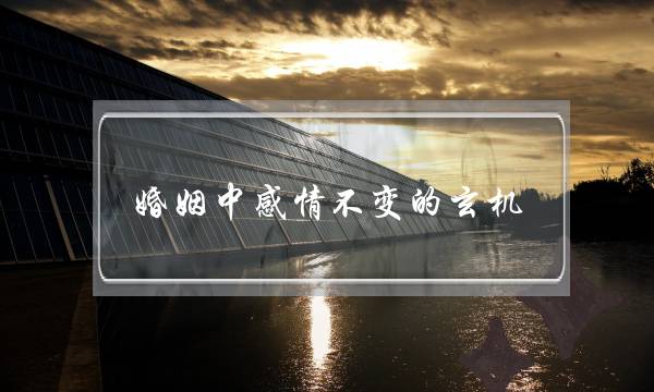 婚姻中感情不变的玄机(下)-泡学网-喜悦人生,挽回婚姻,分手挽回,经验婚姻,情感挽回,情感咨询,分离小三,泡学书籍