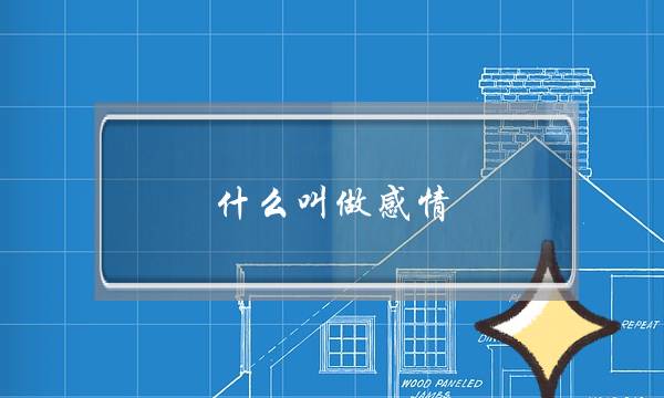 什么叫做感情,什么才是真正的感情-泡学网-喜悦人生,挽回婚姻,分手挽回,经验婚姻,情感挽回,情感咨询,分离小三,泡学书籍