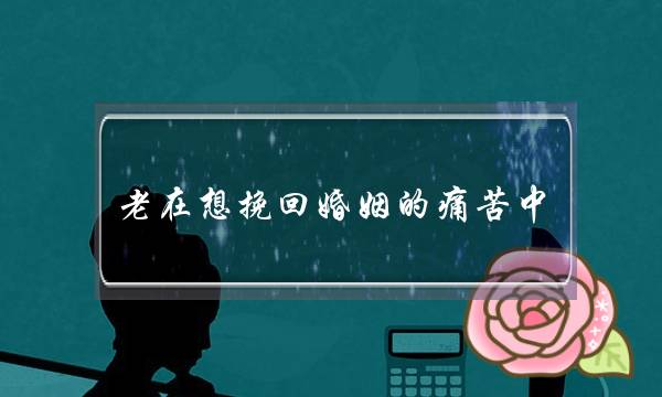 老在想挽回婚姻的痛苦中-泡学网-喜悦人生,挽回婚姻,分手挽回,经验婚姻,情感挽回,情感咨询,分离小三,泡学书籍