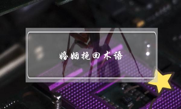 婚姻挽回术语-泡学网-喜悦人生,挽回婚姻,分手挽回,经验婚姻,情感挽回,情感咨询,分离小三,泡学书籍