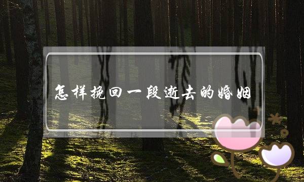 怎样挽回一段逝去的婚姻-泡学网-喜悦人生,挽回婚姻,分手挽回,经验婚姻,情感挽回,情感咨询,分离小三,泡学书籍