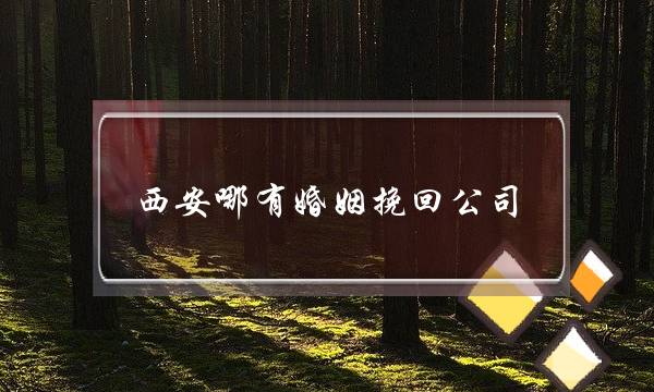 西安哪有婚姻挽回公司-泡学网-喜悦人生,挽回婚姻,分手挽回,经验婚姻,情感挽回,情感咨询,分离小三,泡学书籍