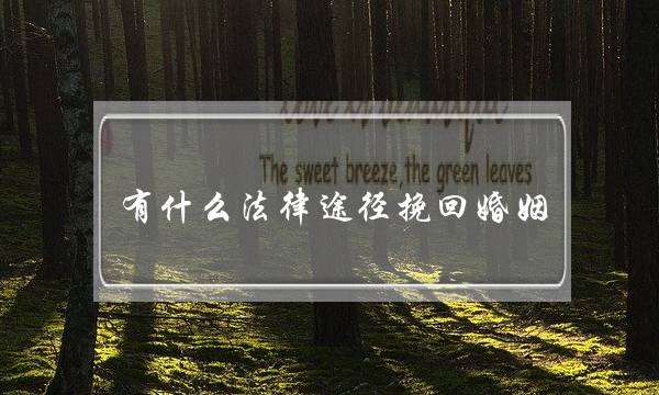 有什么法律途径挽回婚姻-泡学网-喜悦人生,挽回婚姻,分手挽回,经验婚姻,情感挽回,情感咨询,分离小三,泡学书籍