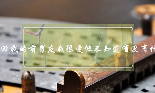 我想挽回我的前男友我很爱他不知道有没有什么办法-泡学网-喜悦人生,挽回婚姻,分手挽回,经验婚姻,情感挽回,情感咨询,分离小三,泡学书籍