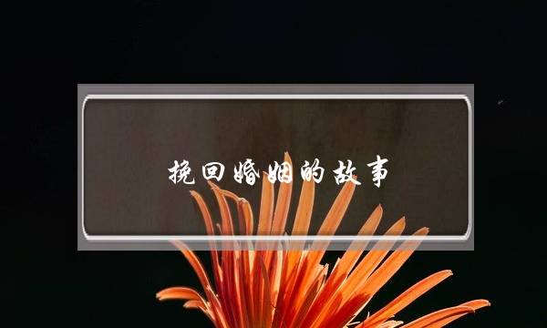 挽回婚姻的故事-泡学网-喜悦人生,挽回婚姻,分手挽回,经验婚姻,情感挽回,情感咨询,分离小三,泡学书籍
