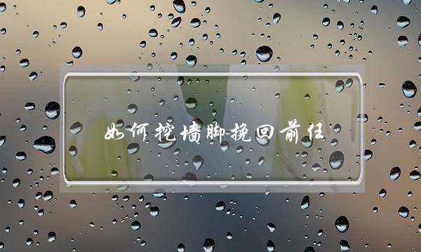 如何挖墙脚挽回前任(被挖墙脚如何挽回)-泡学网-喜悦人生,挽回婚姻,分手挽回,经验婚姻,情感挽回,情感咨询,分离小三,泡学书籍