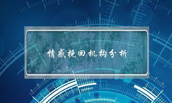 情感挽回机构分析-泡学网-喜悦人生,挽回婚姻,分手挽回,经验婚姻,情感挽回,情感咨询,分离小三,泡学书籍