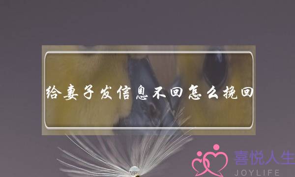 给妻子发信息不回怎么挽回（如何发信息挽回老婆）-泡学网-喜悦人生,挽回婚姻,分手挽回,经验婚姻,情感挽回,情感咨询,分离小三,泡学书籍