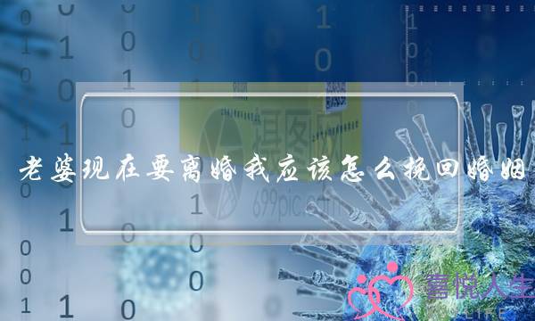 老婆现在要离婚我应该怎么挽回婚姻-泡学网-喜悦人生,挽回婚姻,分手挽回,经验婚姻,情感挽回,情感咨询,分离小三,泡学书籍