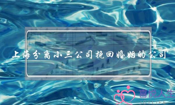 上海分离小三公司挽回婚姻的公司-泡学网-喜悦人生,挽回婚姻,分手挽回,经验婚姻,情感挽回,情感咨询,分离小三,泡学书籍