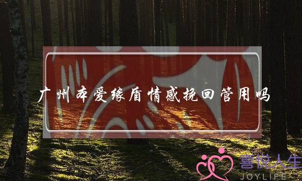 广州本爱缘盾情感挽回管用吗-泡学网-喜悦人生,挽回婚姻,分手挽回,经验婚姻,情感挽回,情感咨询,分离小三,泡学书籍