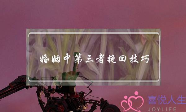 婚姻中第三者挽回技巧-泡学网-喜悦人生,挽回婚姻,分手挽回,经验婚姻,情感挽回,情感咨询,分离小三,泡学书籍