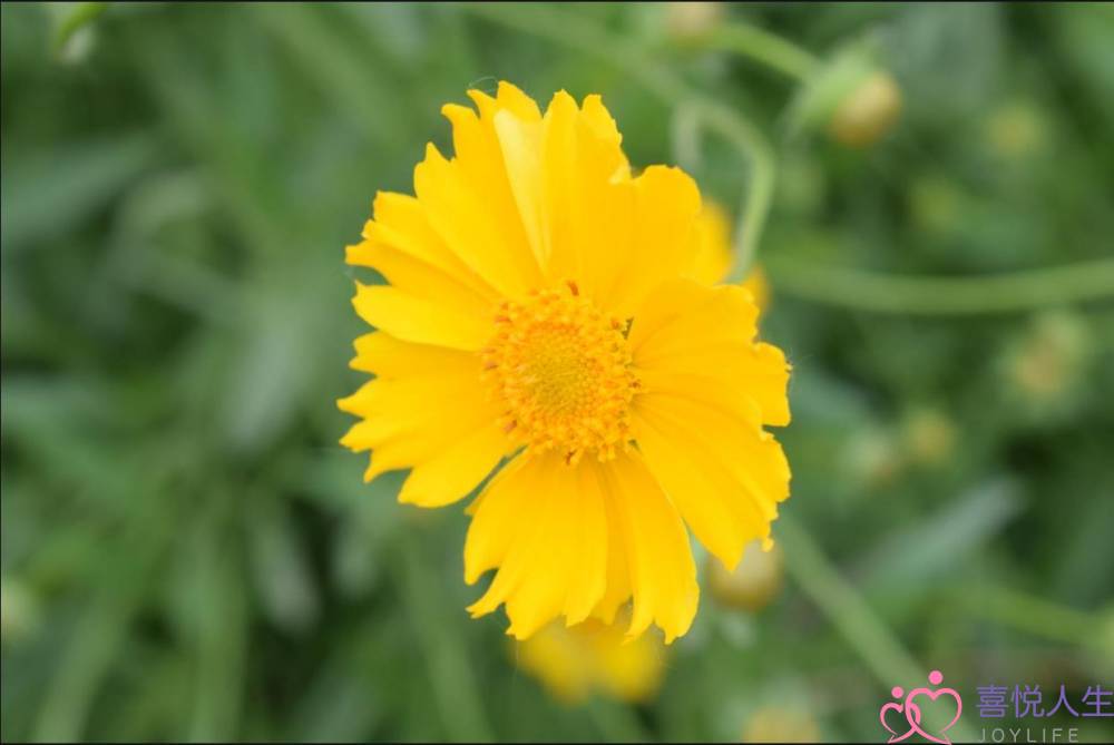 外遇因为异地结束(异地分居导致结婚对象出轨)-泡学网-喜悦人生,挽回婚姻,分手挽回,经验婚姻,情感挽回,情感咨询,分离小三,泡学书籍