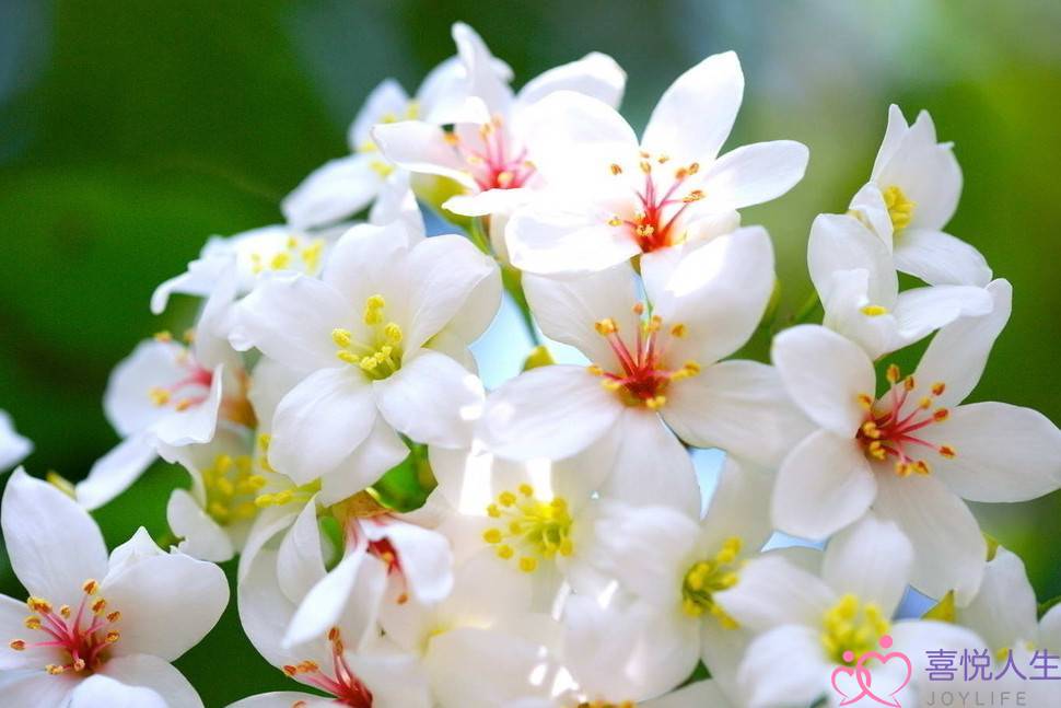 爱情总拿前任比较(爱拿自己跟恋人的前任作比较的星座)-泡学网-喜悦人生,挽回婚姻,分手挽回,经验婚姻,情感挽回,情感咨询,分离小三,泡学书籍