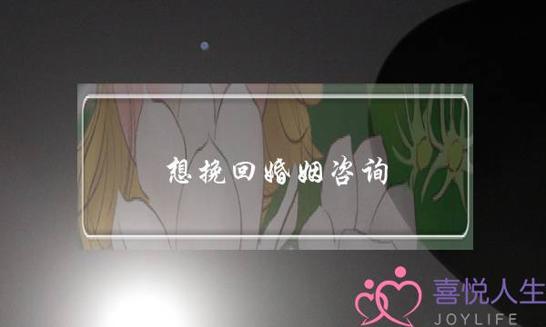 想挽回婚姻咨询-泡学网-喜悦人生,挽回婚姻,分手挽回,经验婚姻,情感挽回,情感咨询,分离小三,泡学书籍