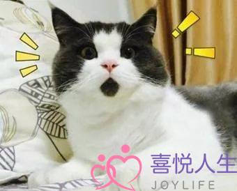 婚恋网男友睡了我(河北一女孩不满14岁)-泡学网-喜悦人生,挽回婚姻,分手挽回,经验婚姻,情感挽回,情感咨询,分离小三,泡学书籍