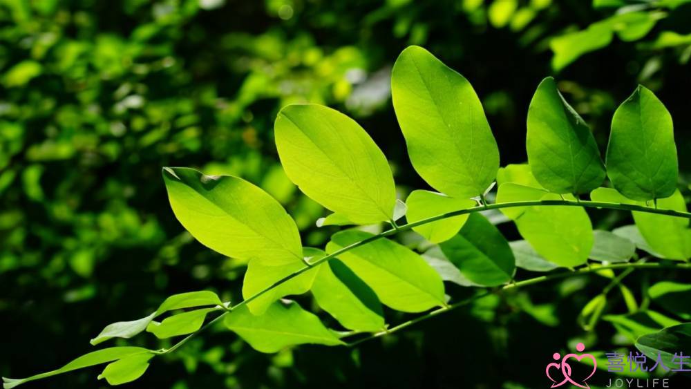 双鱼女提分手多年后遇见前男友(双鱼座对待前任的态度)-泡学网-喜悦人生,挽回婚姻,分手挽回,经验婚姻,情感挽回,情感咨询,分离小三,泡学书籍