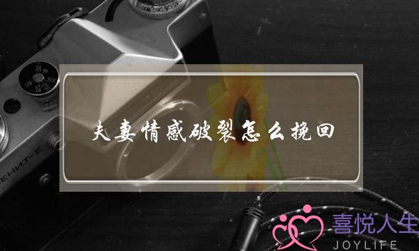 夫妻情感破裂怎么挽回-夫妻感情破裂孩子怎么办-泡学网-喜悦人生,挽回婚姻,分手挽回,经验婚姻,情感挽回,情感咨询,分离小三,泡学书籍