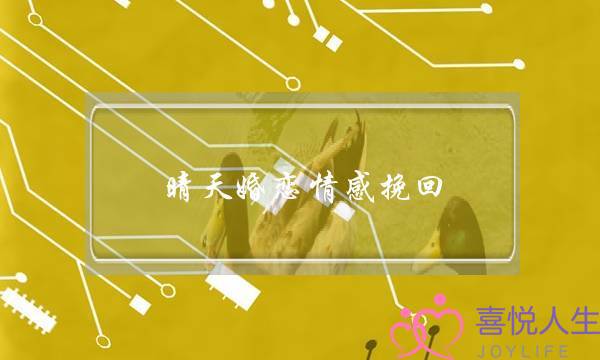 晴天婚恋情感挽回-泡学网-喜悦人生,挽回婚姻,分手挽回,经验婚姻,情感挽回,情感咨询,分离小三,泡学书籍