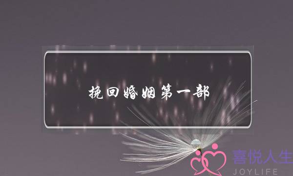 挽回婚姻第一部-泡学网-喜悦人生,挽回婚姻,分手挽回,经验婚姻,情感挽回,情感咨询,分离小三,泡学书籍