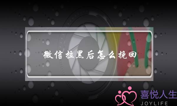 微信拉黑后怎么挽回(微信被对方拉黑怎么挽回)-泡学网-喜悦人生,挽回婚姻,分手挽回,经验婚姻,情感挽回,情感咨询,分离小三,泡学书籍