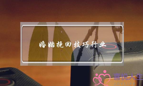 婚姻挽回技巧行业-泡学网-喜悦人生,挽回婚姻,分手挽回,经验婚姻,情感挽回,情感咨询,分离小三,泡学书籍