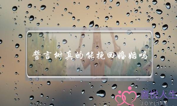 誓言树真的能挽回婚姻吗-泡学网-喜悦人生,挽回婚姻,分手挽回,经验婚姻,情感挽回,情感咨询,分离小三,泡学书籍