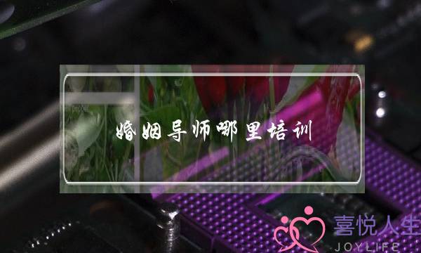 婚姻导师哪里培训(哪里有婚姻经营培训)-泡学网-喜悦人生,挽回婚姻,分手挽回,经验婚姻,情感挽回,情感咨询,分离小三,泡学书籍