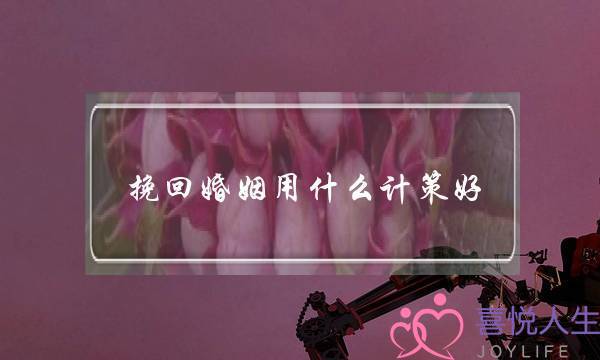 挽回婚姻用什么计策好-泡学网-喜悦人生,挽回婚姻,分手挽回,经验婚姻,情感挽回,情感咨询,分离小三,泡学书籍