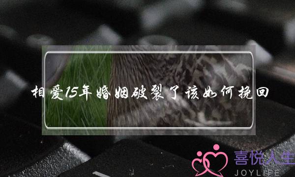 相爱15年婚姻破裂了该如何挽回-泡学网-喜悦人生,挽回婚姻,分手挽回,经验婚姻,情感挽回,情感咨询,分离小三,泡学书籍