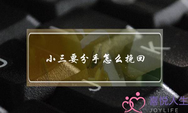 小三要分手怎么挽回(如何挽回前夫)-泡学网-喜悦人生,挽回婚姻,分手挽回,经验婚姻,情感挽回,情感咨询,分离小三,泡学书籍