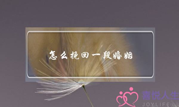 怎么挽回一段婚姻？维情情盾来帮你解答-泡学网-喜悦人生,挽回婚姻,分手挽回,经验婚姻,情感挽回,情感咨询,分离小三,泡学书籍