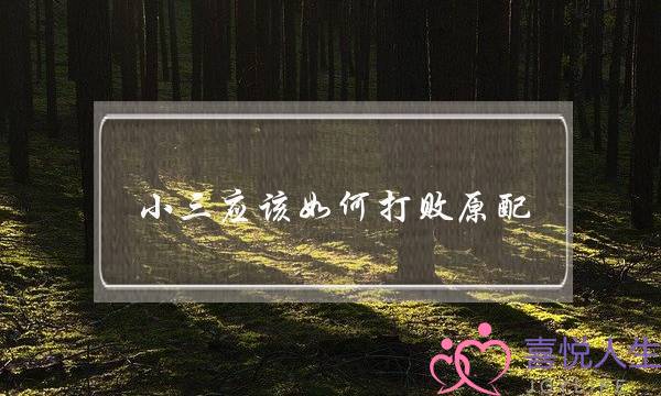 小三应该如何打败原配-泡学网-喜悦人生,挽回婚姻,分手挽回,经验婚姻,情感挽回,情感咨询,分离小三,泡学书籍