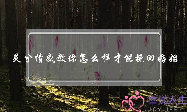 灵兮情感教你怎么样才能挽回婚姻-泡学网-喜悦人生,挽回婚姻,分手挽回,经验婚姻,情感挽回,情感咨询,分离小三,泡学书籍