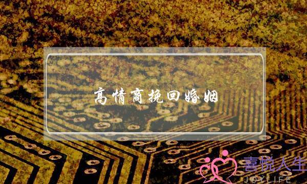 高情商挽回婚姻-泡学网-喜悦人生,挽回婚姻,分手挽回,经验婚姻,情感挽回,情感咨询,分离小三,泡学书籍