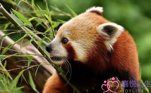 情感挽回是真的可以挽留吗(感情真的可以挽回吗)-泡学网-喜悦人生,挽回婚姻,分手挽回,经验婚姻,情感挽回,情感咨询,分离小三,泡学书籍