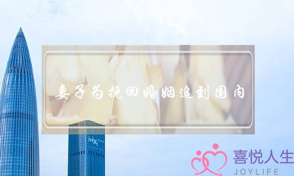 妻子为挽回婚姻追到国内-泡学网-喜悦人生,挽回婚姻,分手挽回,经验婚姻,情感挽回,情感咨询,分离小三,泡学书籍