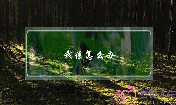 我该怎么办？帮帮我！小三抢我老公，我该如何对付小三呢？我该怎么办？-泡学网-喜悦人生,挽回婚姻,分手挽回,经验婚姻,情感挽回,情感咨询,分离小三,泡学书籍