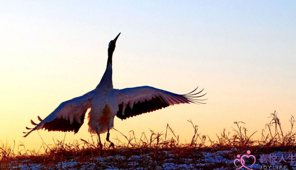 什么时候给女生送礼物(给女生送礼物)-泡学网-喜悦人生,挽回婚姻,分手挽回,经验婚姻,情感挽回,情感咨询,分离小三,泡学书籍