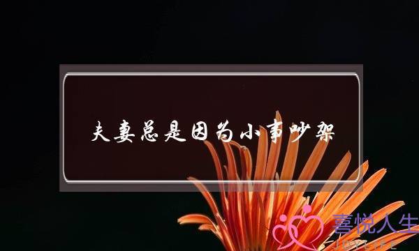 夫妻总是因为小事吵架(夫妻之间总是因为小事吵架怎么办)-泡学网-喜悦人生,挽回婚姻,分手挽回,经验婚姻,情感挽回,情感咨询,分离小三,泡学书籍