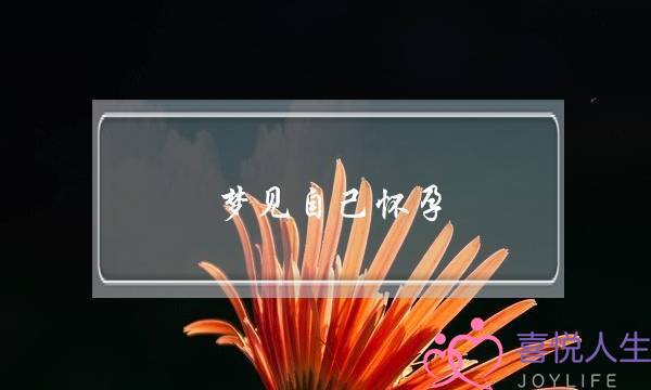 梦见自己怀孕,梦见自己怀孕是吉兆吗--泡学网-喜悦人生,挽回婚姻,分手挽回,经验婚姻,情感挽回,情感咨询,分离小三,泡学书籍