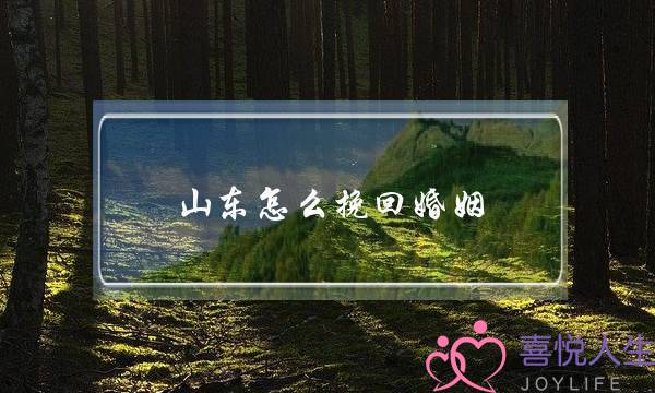 山东怎么挽回婚姻-泡学网-喜悦人生,挽回婚姻,分手挽回,经验婚姻,情感挽回,情感咨询,分离小三,泡学书籍