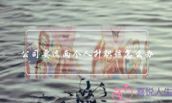 公司要选两个人升职该怎么办(两个人同时进公司升职)-泡学网-喜悦人生,挽回婚姻,分手挽回,经验婚姻,情感挽回,情感咨询,分离小三,泡学书籍