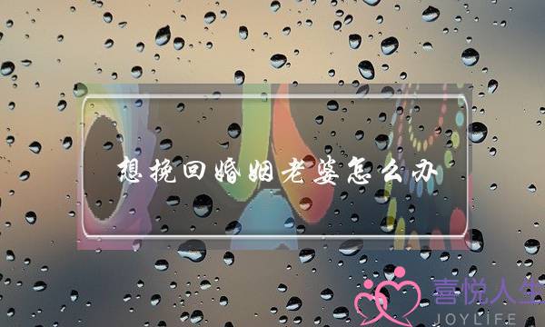 想挽回婚姻老婆怎么办-泡学网-喜悦人生,挽回婚姻,分手挽回,经验婚姻,情感挽回,情感咨询,分离小三,泡学书籍